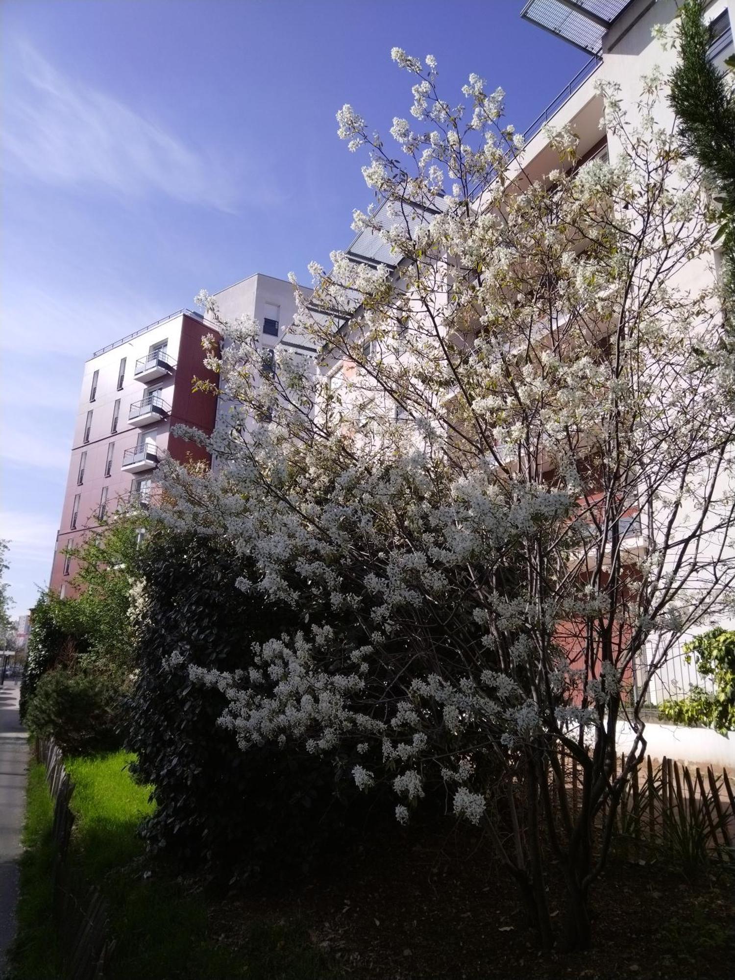 Apparthotel Privilodges Lyon Lumiere Exterior photo
